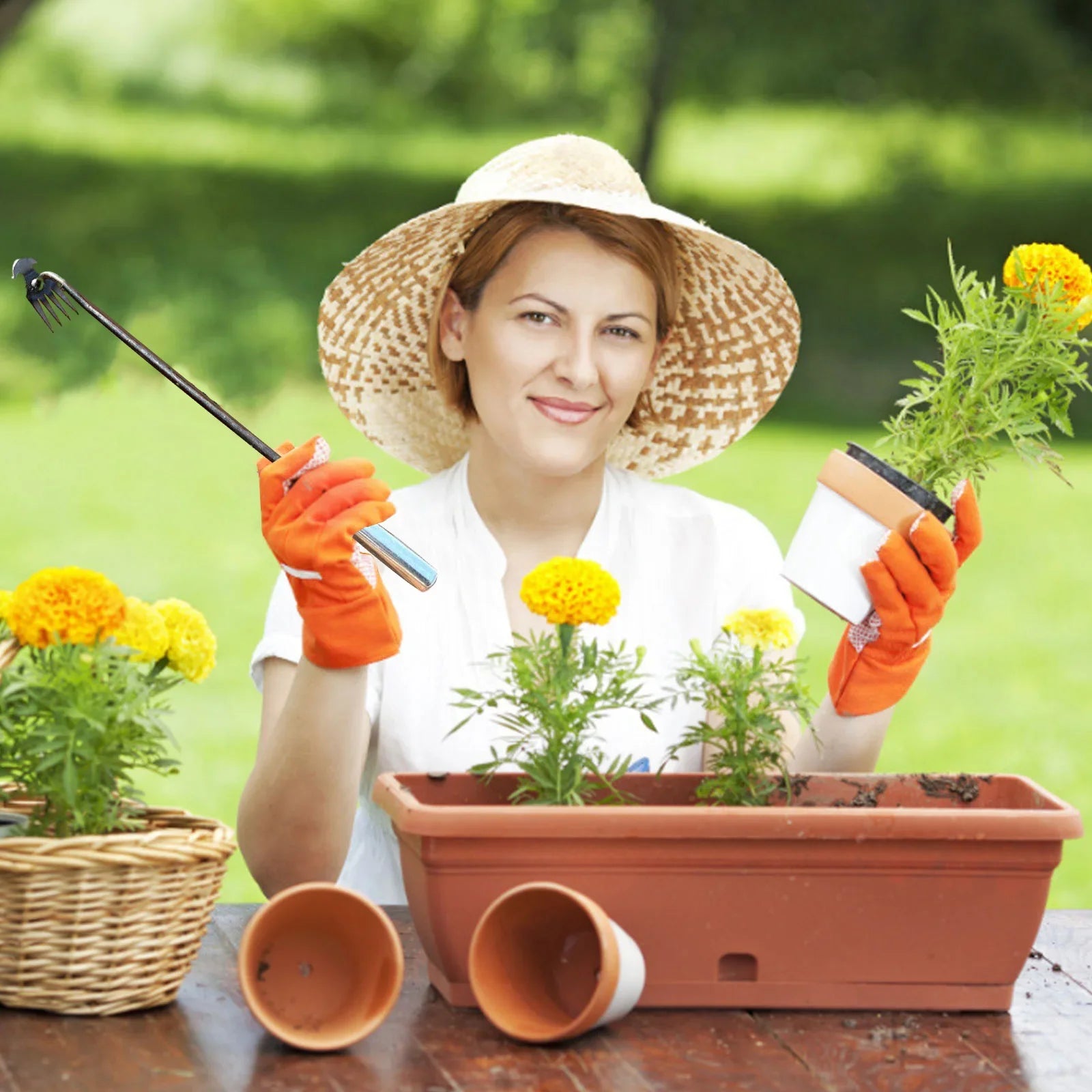 Sa9e389c0b60746768aea44fd38f454c16