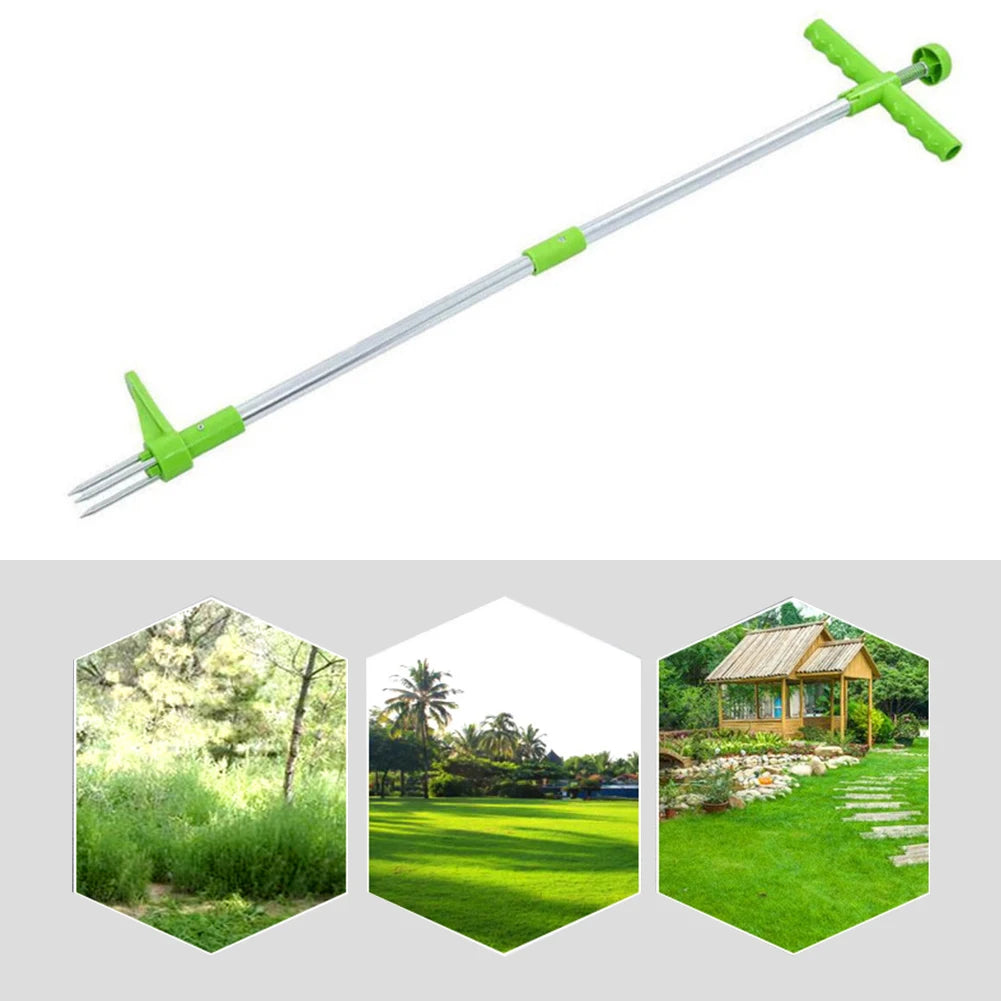 Saeb2df2289734247aee7c0a9d187ac23F