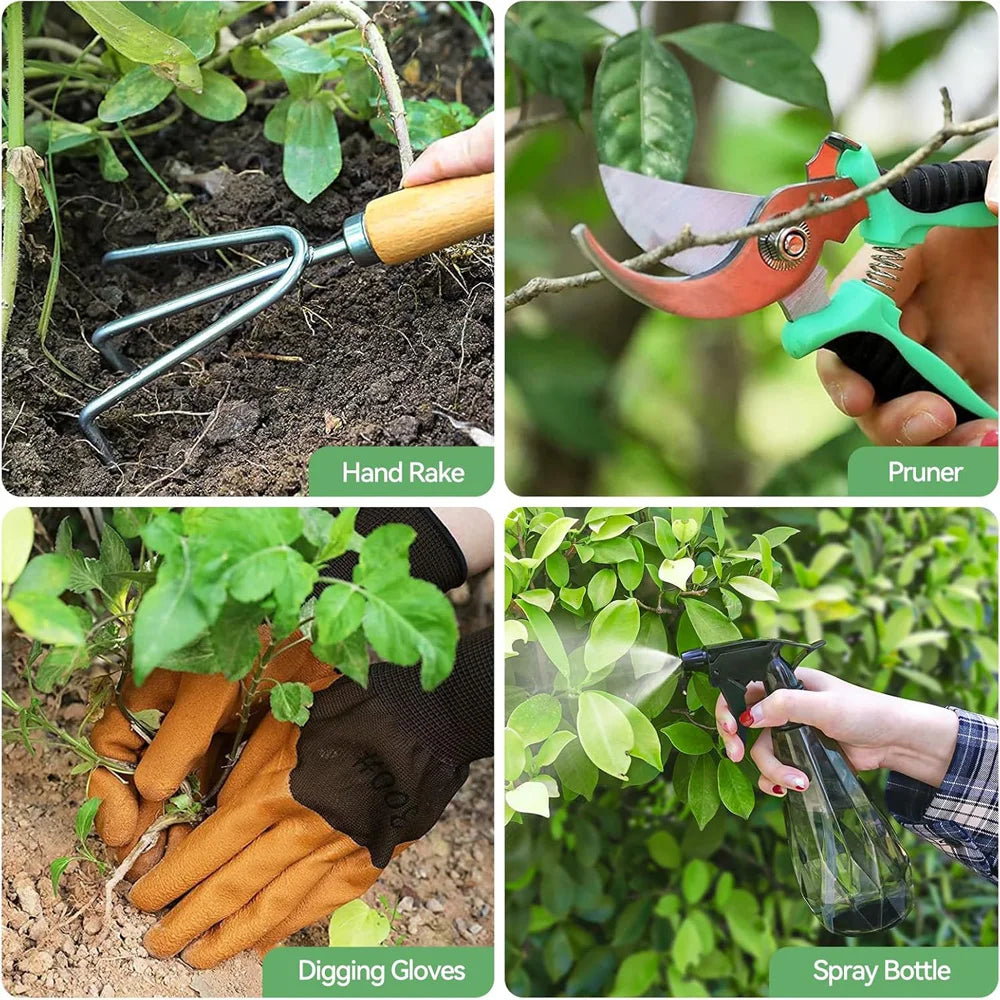 Sd1f41d350a9c48ca973b2ba09569a8d69