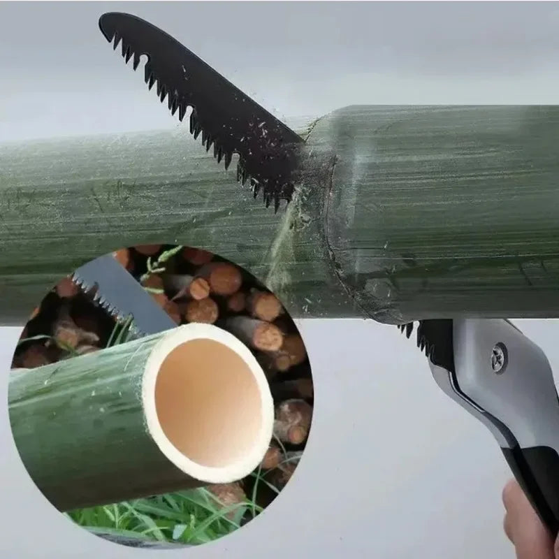 Se06a8ff8855e4e78879b7feec94cbf63p